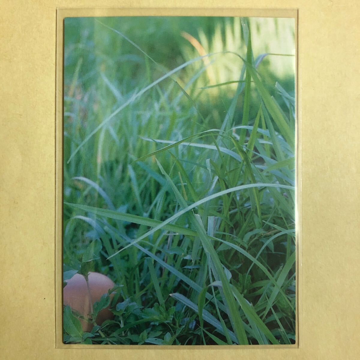  Ono Mayumi 2007bom коллекционные карточки идол gravure карта нижнее белье 006 звезда коллекционная карточка BOMB