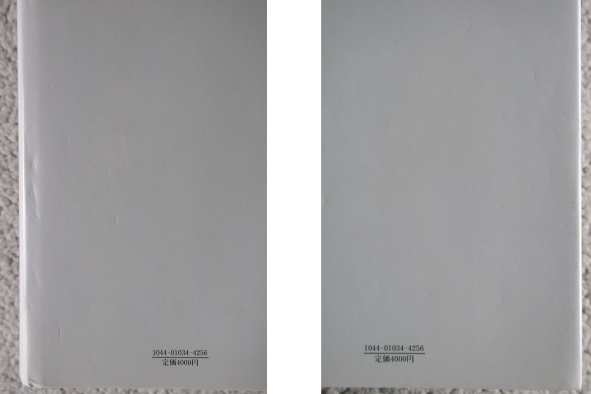 日本の山地形成論 地質学と地形学の間 (蒼樹書房) 藤田和夫_画像5