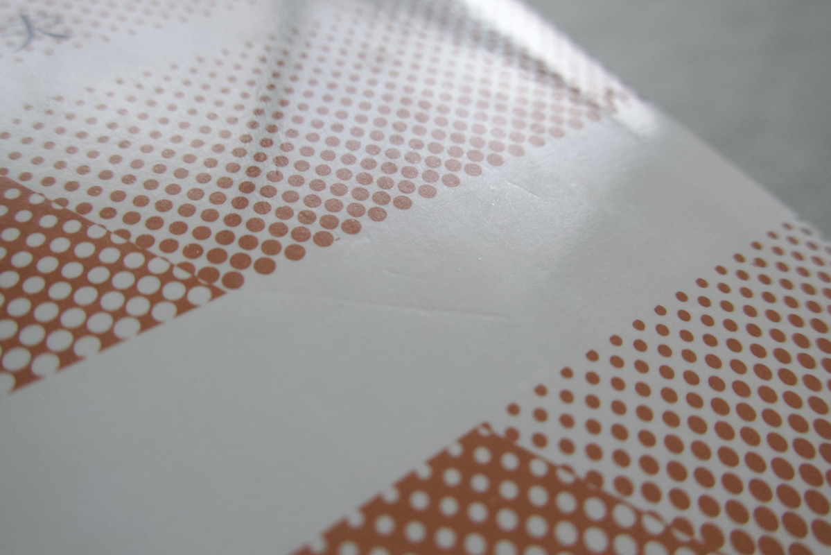 日本の山地形成論 地質学と地形学の間 (蒼樹書房) 藤田和夫_画像2