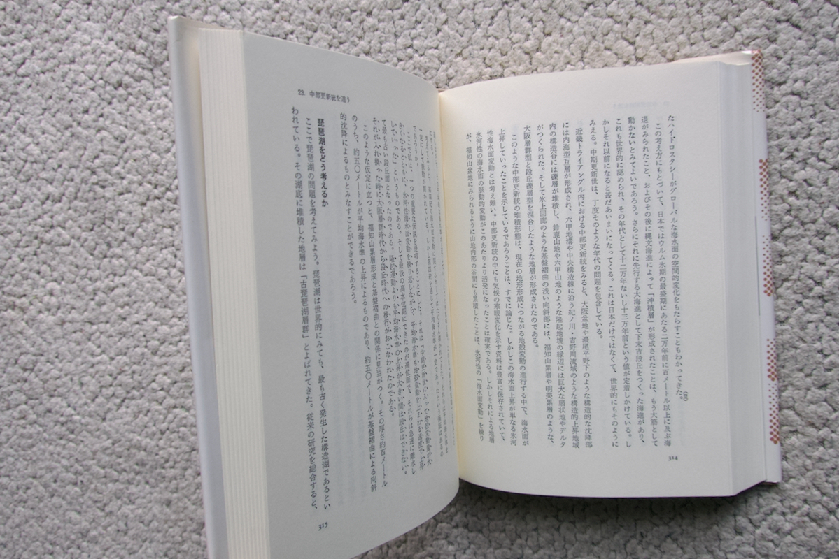 日本の山地形成論 地質学と地形学の間 (蒼樹書房) 藤田和夫_画像10