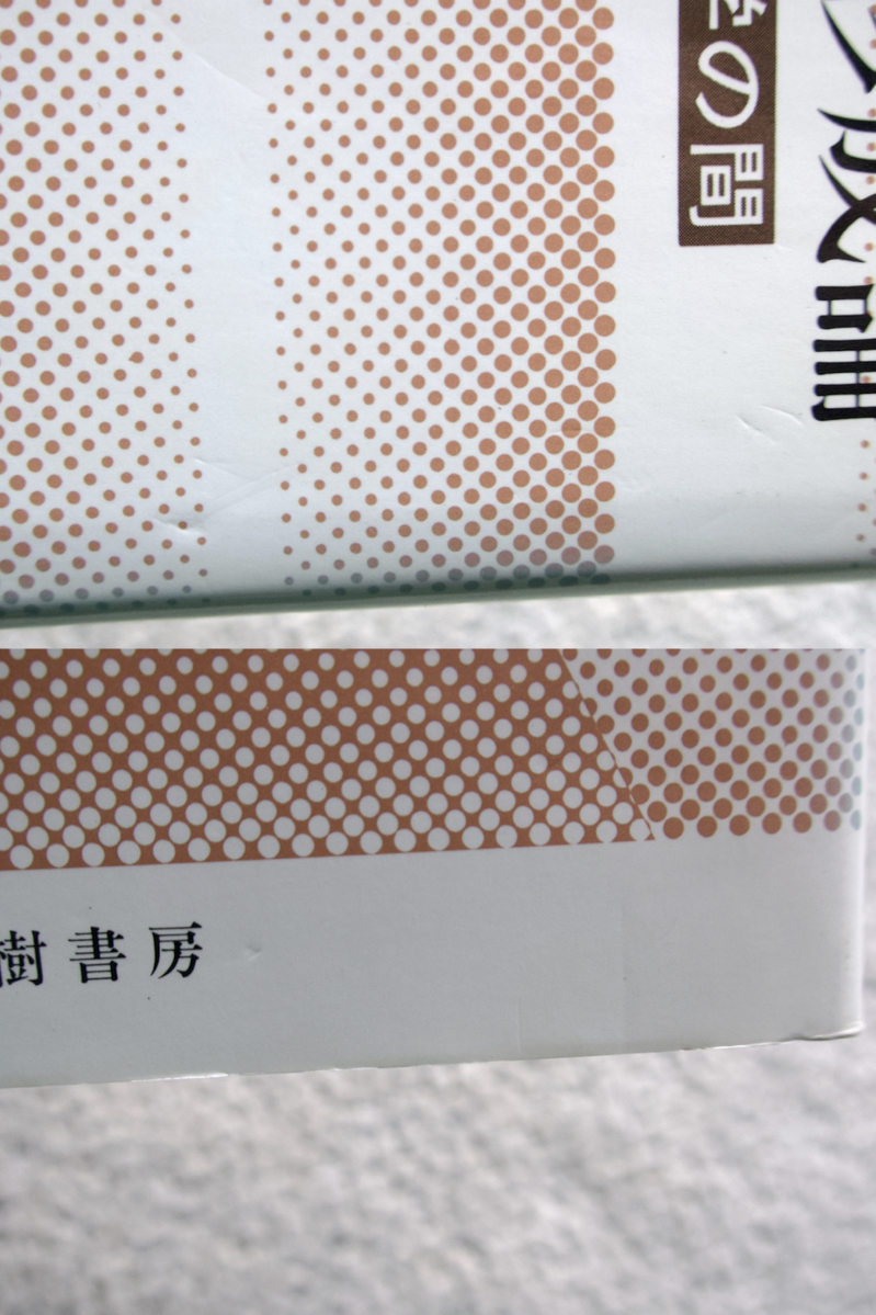 日本の山地形成論 地質学と地形学の間 (蒼樹書房) 藤田和夫_画像3