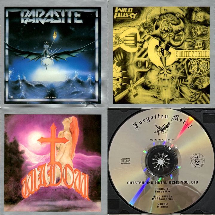 V.A. Forgotten Metal Vol. 18 Collector's Series PARASITE In The Beginning / WILD PUSSY Mechanarchy / RITUAL Widow_画像3