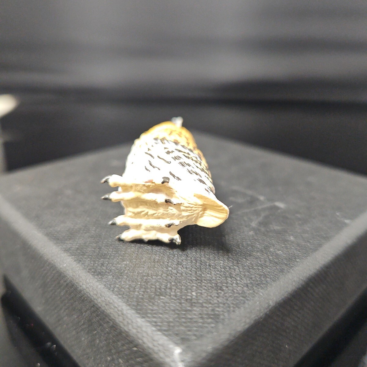 海洋堂カプセルQミュージアム 福をよぶフクロウ大全ウサギフクロウ画像が全てです。ご入札前は必ず商品説明をご覧ください美品_画像4