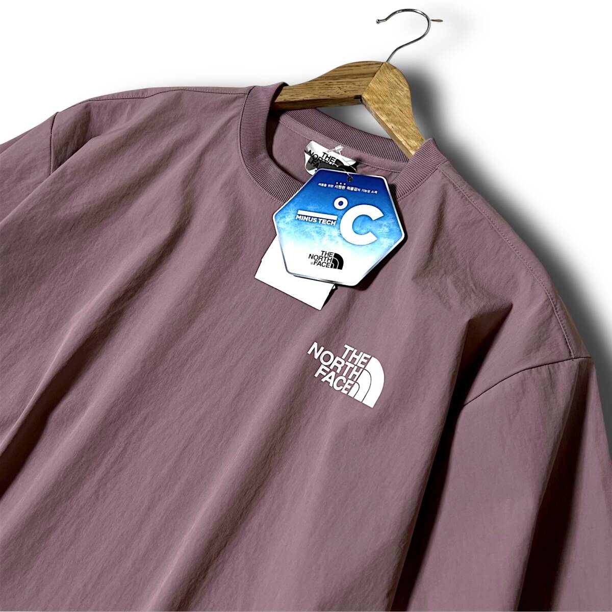 新品 THE NORTH FACE ノースフェイス ICERUNS/SR/TEEA テック系素材 吸汗速干 接觸冷感 バックプリント 半袖 Tシャツ M 赤灰 春夏 B8238