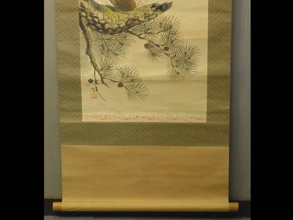 【模写】 t1848 蔵出 掛軸 楊生作 松鷹乃図 絹本 共箱 書画骨董 花鳥 鳥獣 風景 古美術_画像4