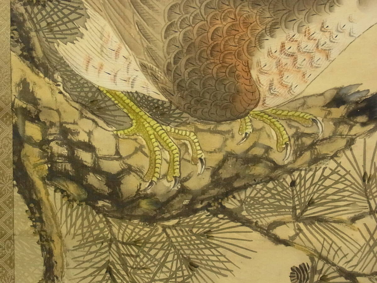 【模写】 t1848 蔵出 掛軸 楊生作 松鷹乃図 絹本 共箱 書画骨董 花鳥 鳥獣 風景 古美術_画像6