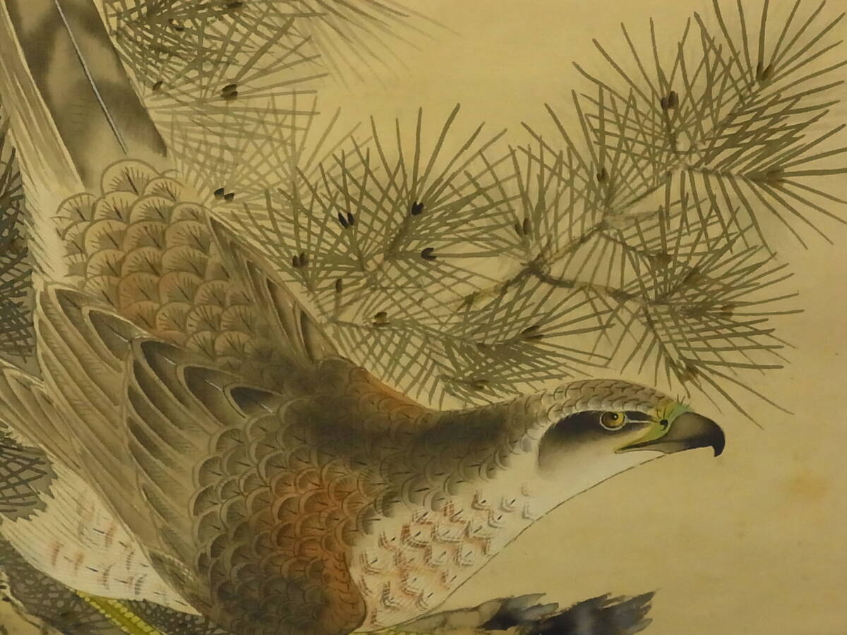 【模写】 t1848 蔵出 掛軸 楊生作 松鷹乃図 絹本 共箱 書画骨董 花鳥 鳥獣 風景 古美術_画像5