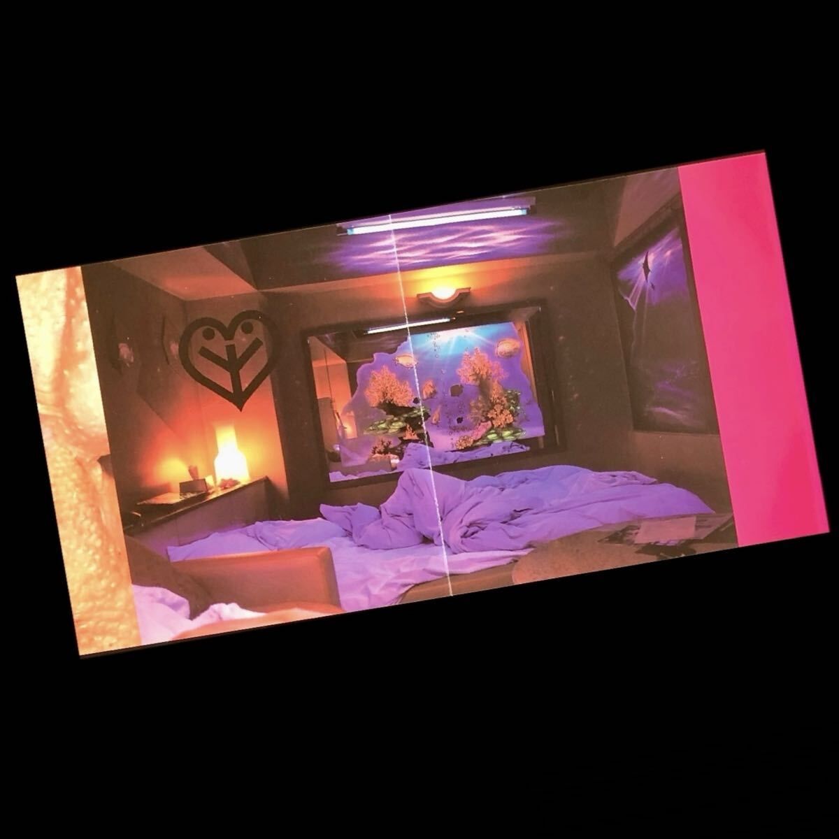 廃盤CD★岡村靖幸 20th Sg「セックス」★cw「せぶんてぃ～ん」美品 1999年発売 ESCB-2056 12cm シングル マキシシングル MAXI SINGLE SgCD_画像8