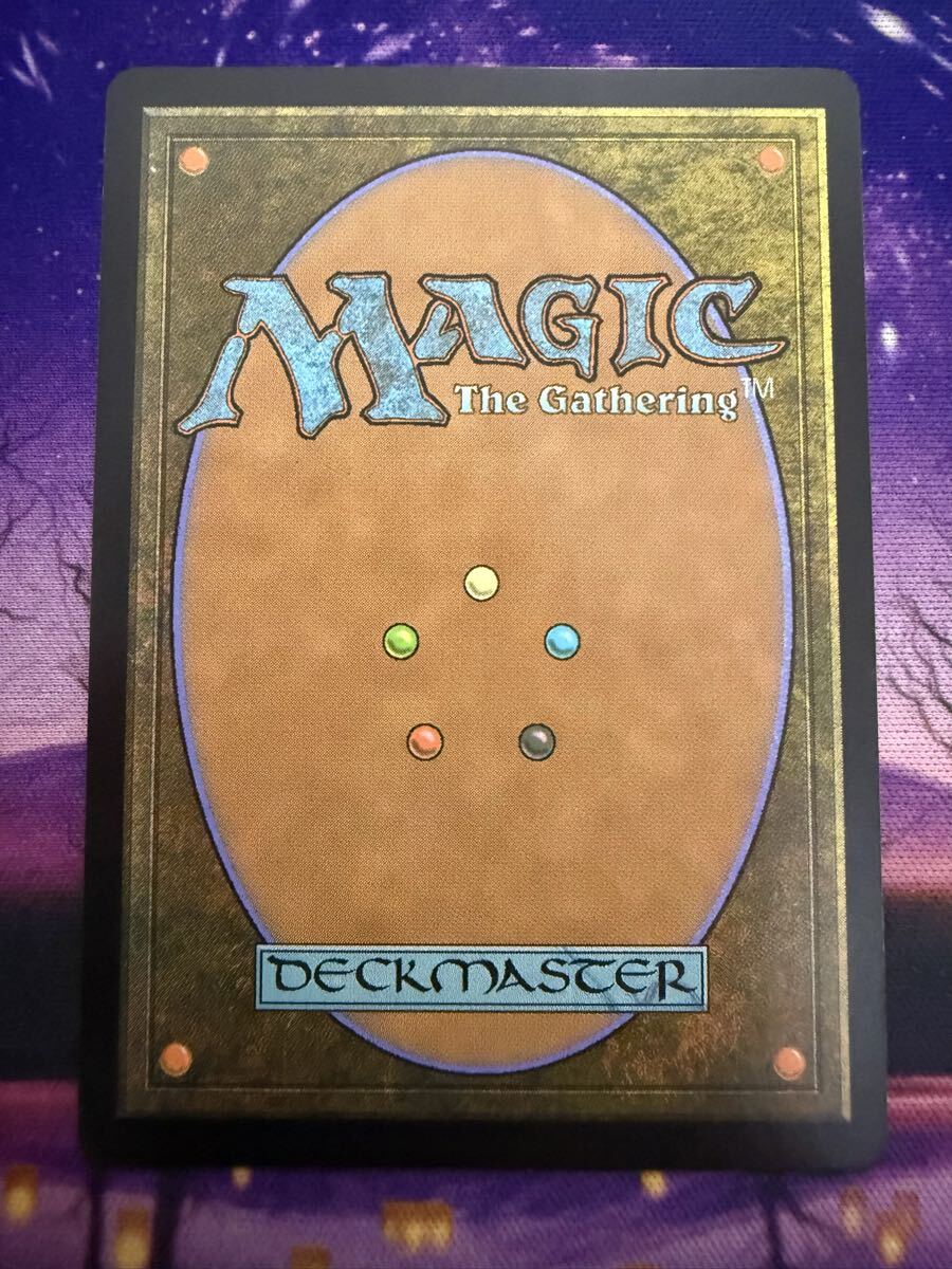 MTG/年老いた骨齧り/Old Gnawbone/AFR/ボーダーレス/日本語_画像2