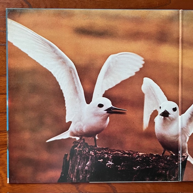 ★コレクション放出！STEVIE WONDER カヴァー！伊 ORIG. ファンク ディスコ / FAUSTO PAPETTI『24a RACCOLTA』SEXY エロ ヌード 美女ジャケ_画像3