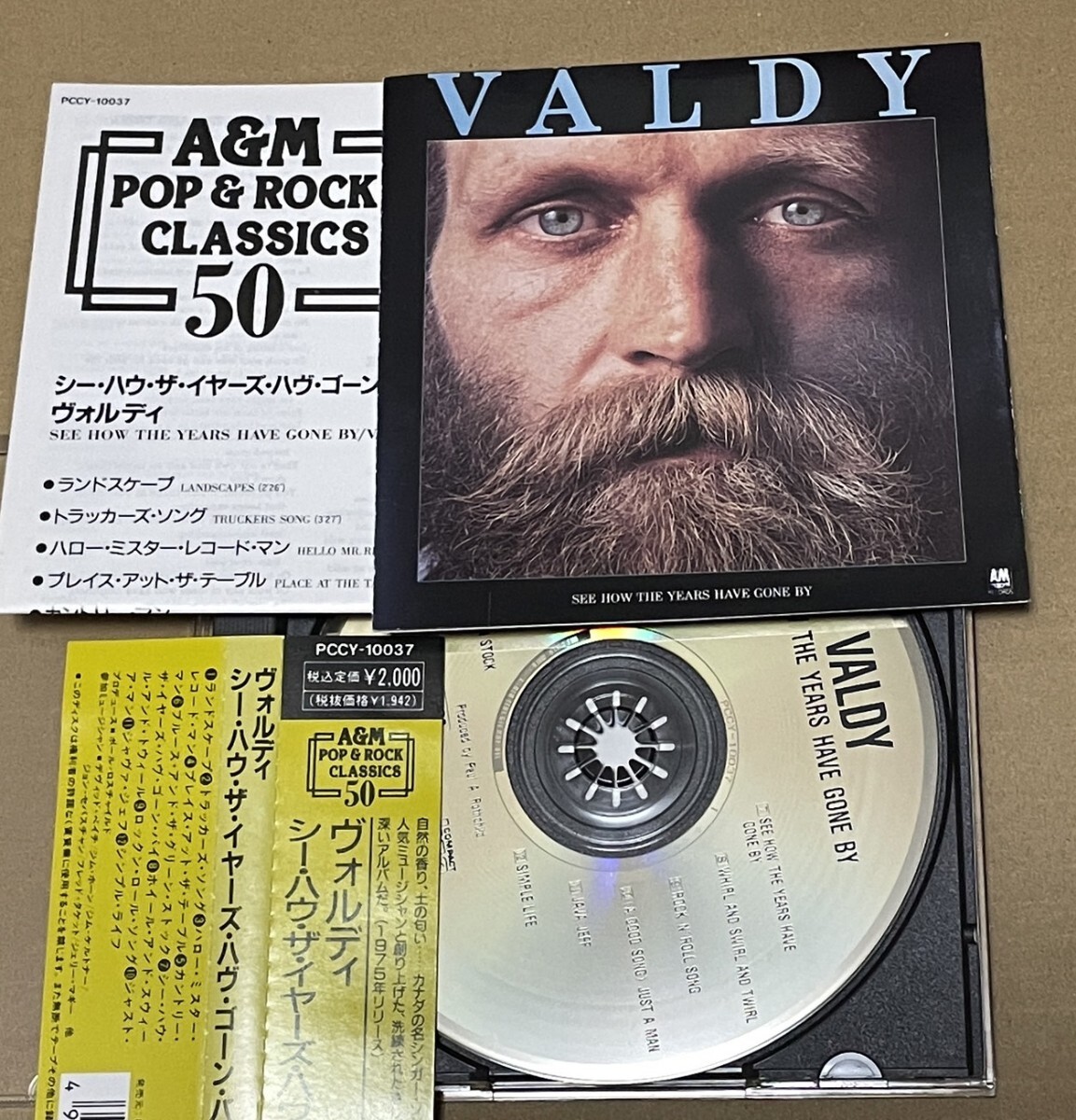 送料込 Valdy - See How The Years Have Gone By 国内盤CD / ヴォルディ / PCCY10037_画像1