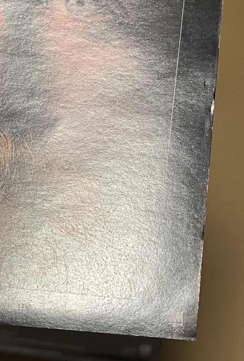 送料込 Valdy - See How The Years Have Gone By 国内盤CD / ヴォルディ / PCCY10037_画像5