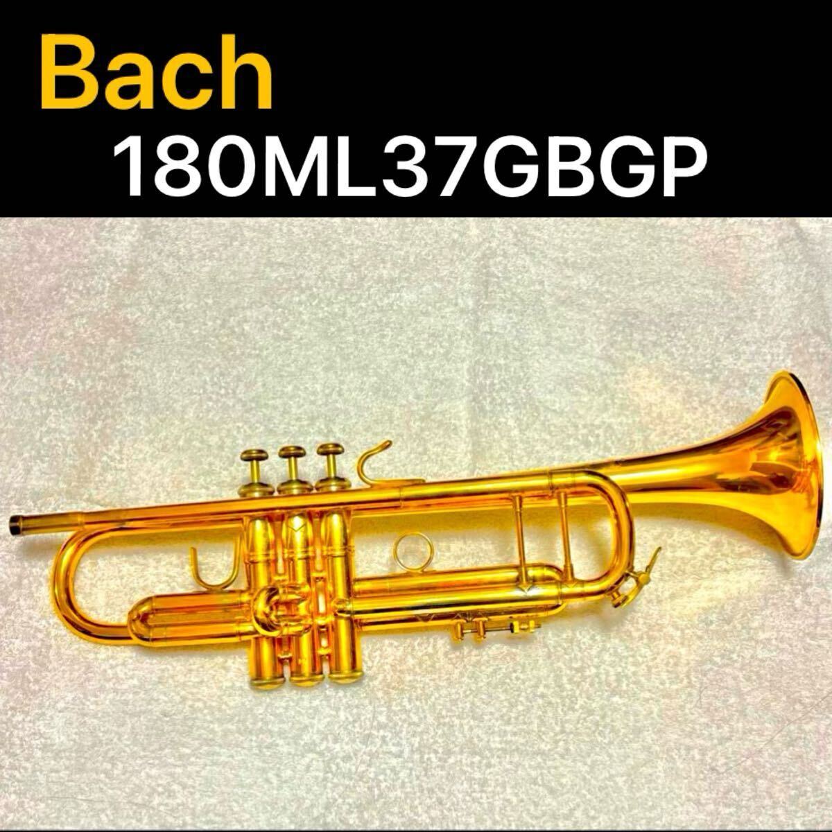 Bach トランペット 180ML 37 GB GP 金メッキ Yahoo!オークション - Bach トランペット 180ML 37GB GP