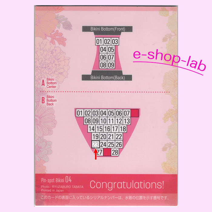  не груша один цветок 2 Vol.2 булавка spo бикини карта 04B #23/28 ( хорошо часть * розовый брюки .. часть )/HIT'S