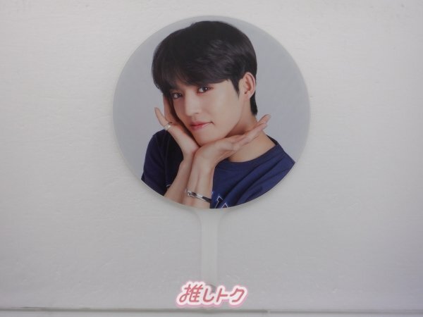 SEVENTEEN S.COUPS うちわ 2018 CONCERT IDEAL CUT IMAGE PICKET