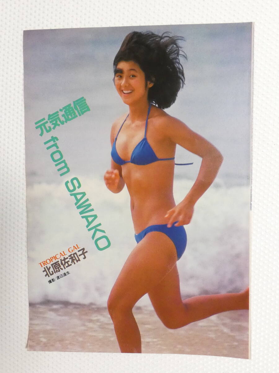1036★切り抜き★北原佐和子 5頁 水着　ビキニ_画像1