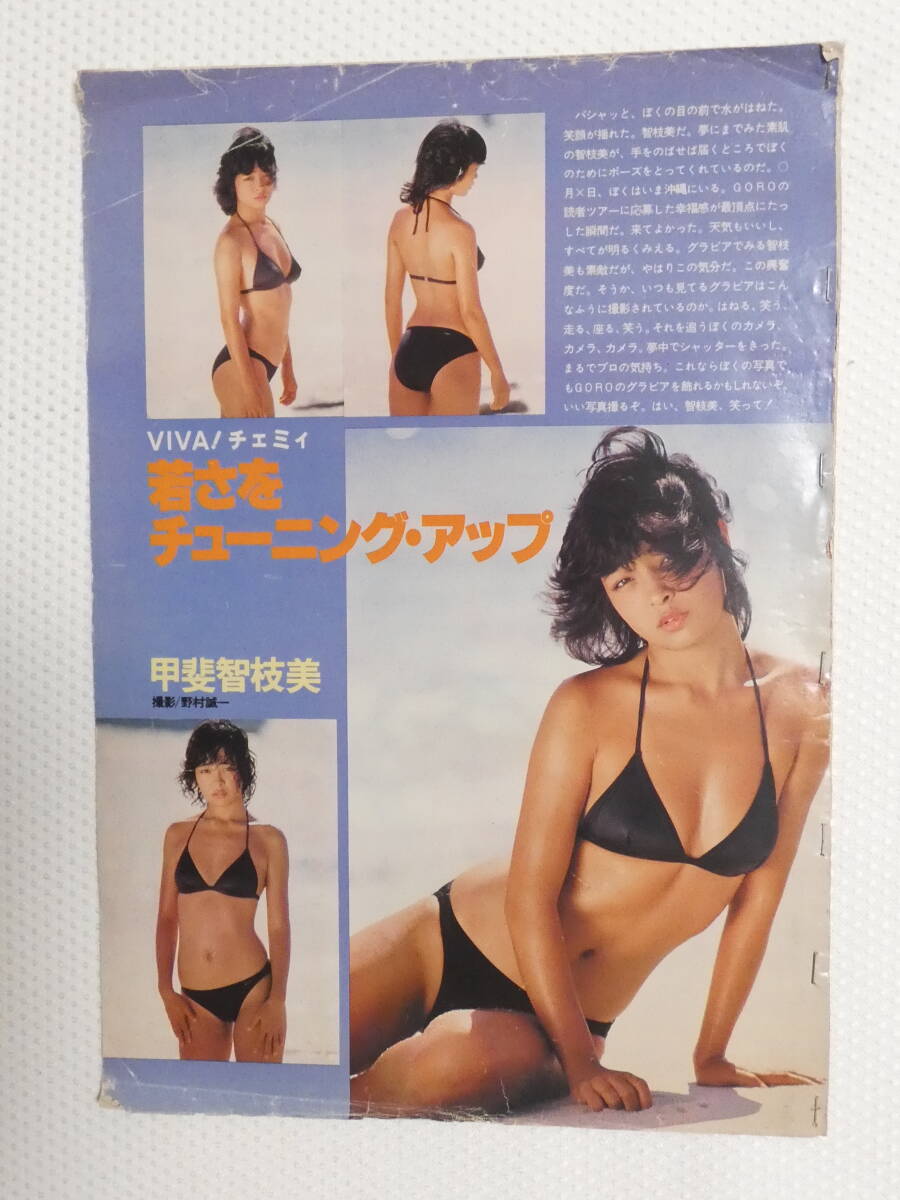1069★切り抜き★甲斐智枝美 5頁 水着_画像1