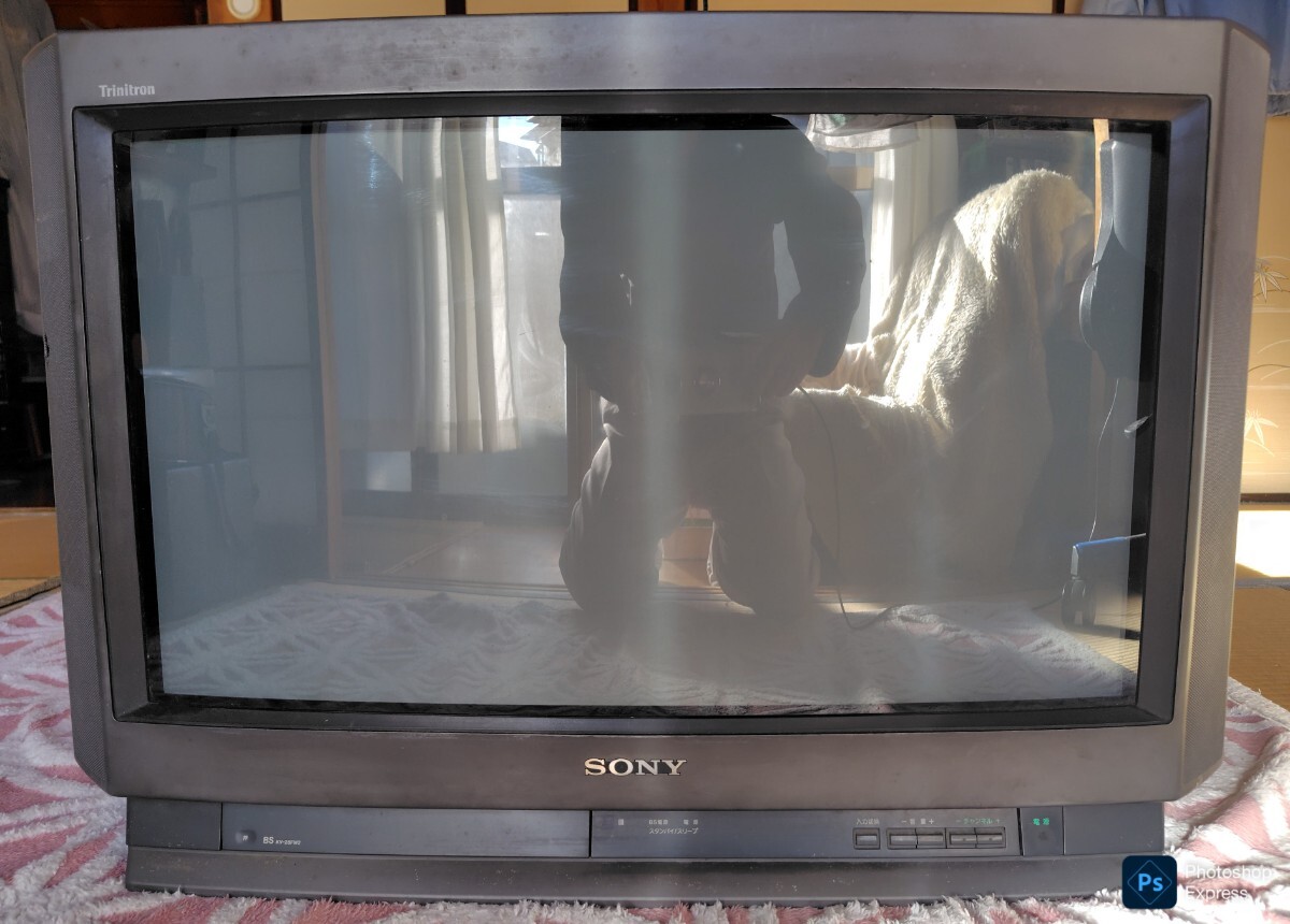 希少・レトロ】SONY トリニトロン テレビ KV-29SF1 動作確認済 希少