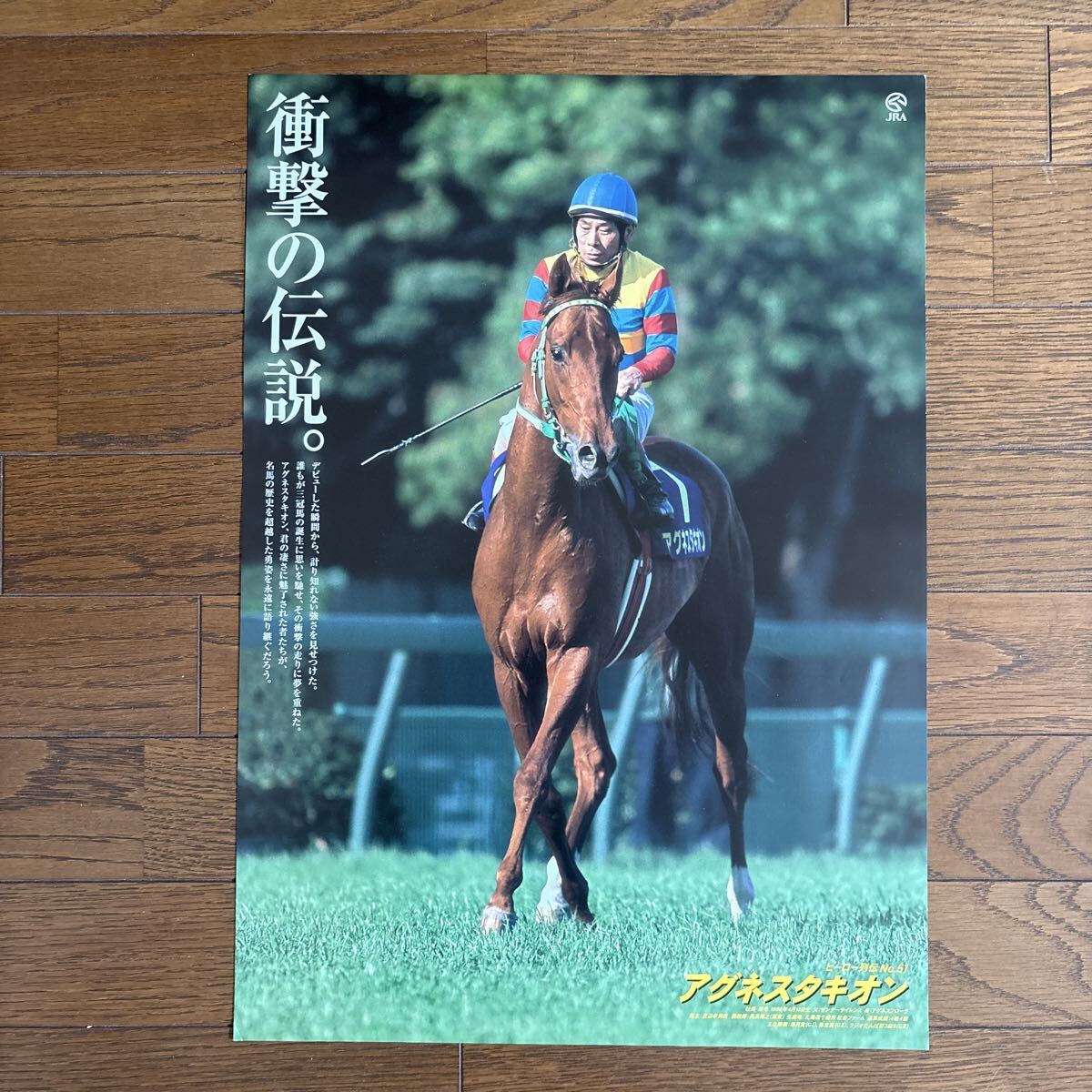 競馬 ポスター タスティエーラ 大特価 JRA競馬ポスターの値段と価格推移は?|55件の売買データからJRA