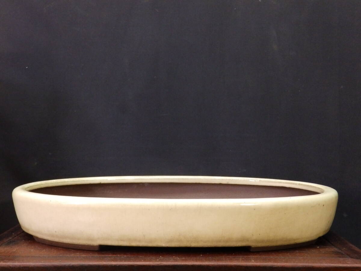 山秋 盆栽鉢 盆栽鉢 山秋