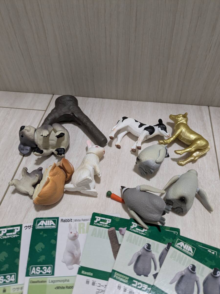アニア コウテイペンギン(エンペラーペンギン) コアラ ウサギ ウシ 干支 牛 金 ゴールド/フィギュア セット_画像3