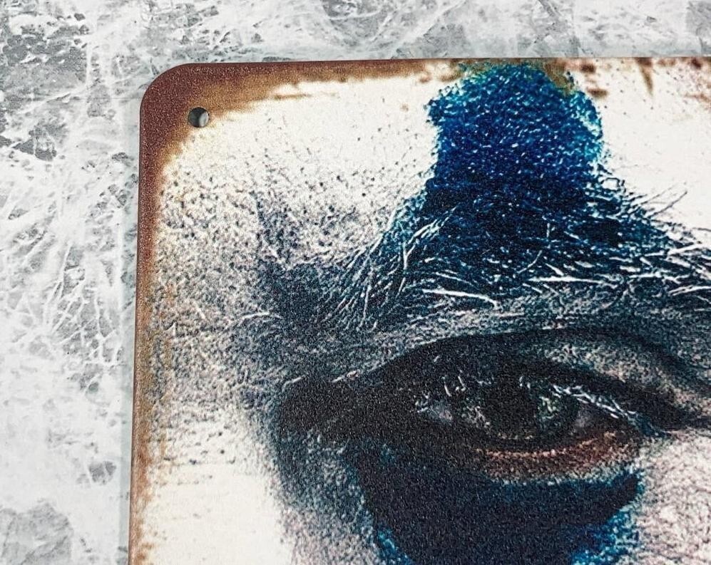 ★送料無料★「ジョーカー/ホアキン?フェニックス　バットマン　メタル ポスター/プレート　タイプB」tface-g 【タグ：映畫】1