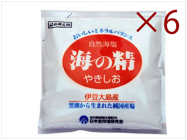 ［即決?送料無料］海の精 やきしお 詰替用 60g 6個セット 焼き塩 天然塩