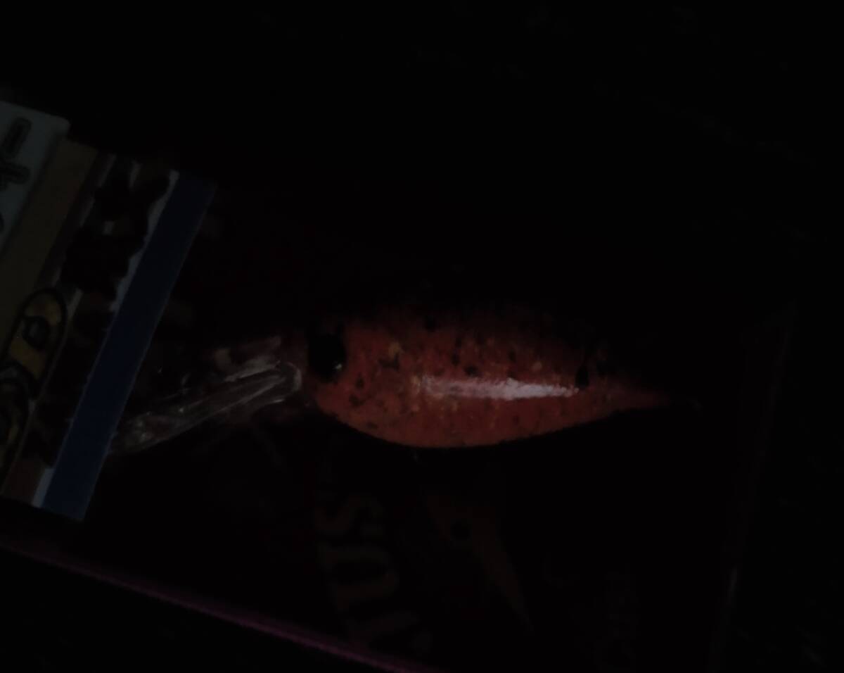 激レア★新品未開封★Lucky Craft　ラッキークラフト　ディープクラピー　上州屋オリカラ　DD残火　_画像4