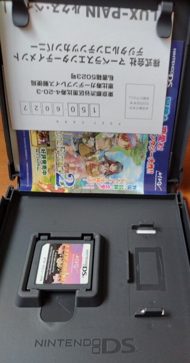 【送料無料】ニンテンドーDS　ルクス・ペイン(LUX-PAIN)　説明書無し・動作確認済_画像3