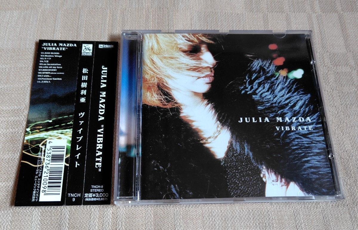 松田樹利亜「VIBRATE/ヴァイブレイト」_画像1