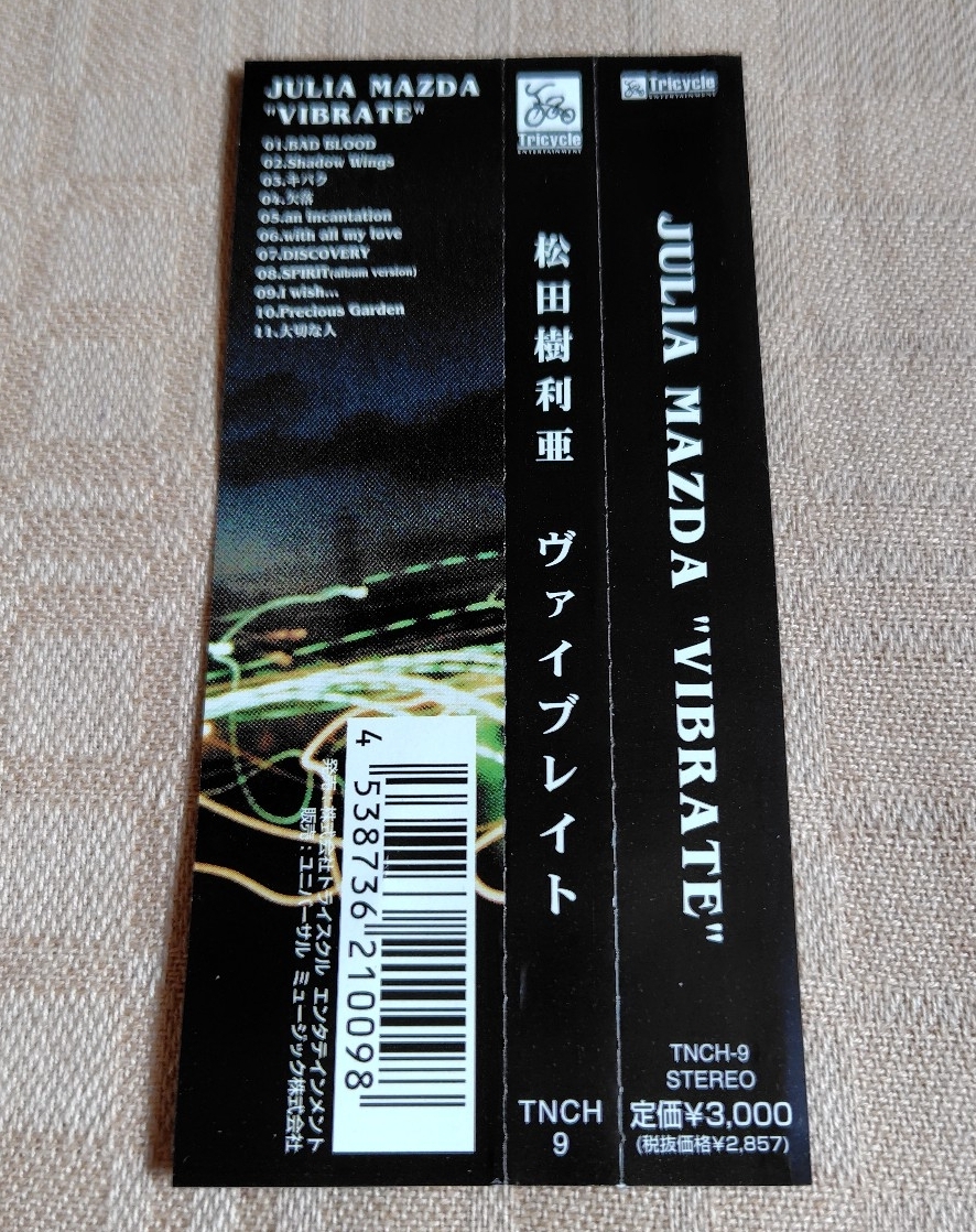 松田樹利亜「VIBRATE/ヴァイブレイト」_画像4