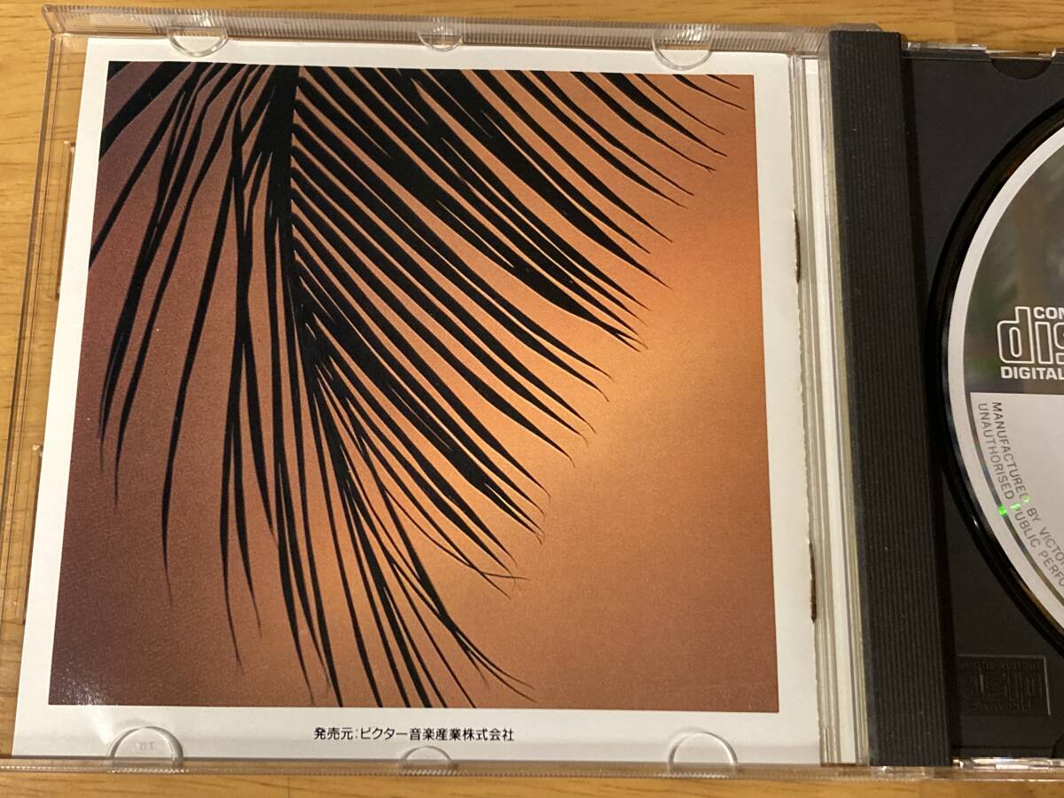 (VDP-5021) FUSION 帯付き 86年国内初期3000円盤 エリック・ゲイル(ERIC GALE/g:STUFF) 82年「イン・ザ・シェイド・オブ・ア・トゥリー」_画像5