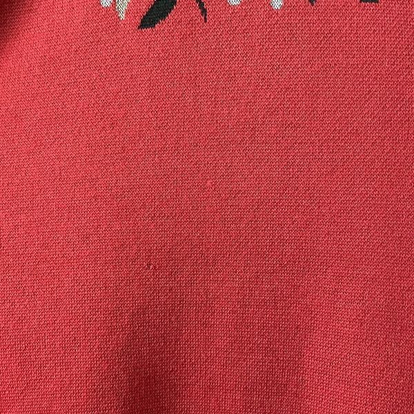 #wxc クリスチャンディオール ChristianDior SPORTS ニット セーター M 赤系 ヴィンテージ 植物柄 レディース [957746]