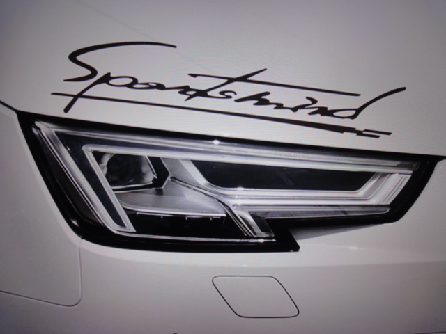 ■■new/ブラックカラー/sports mind /スポーツマインド/人気ステッカー/サイズ(31cm×7cm)■■_画像1