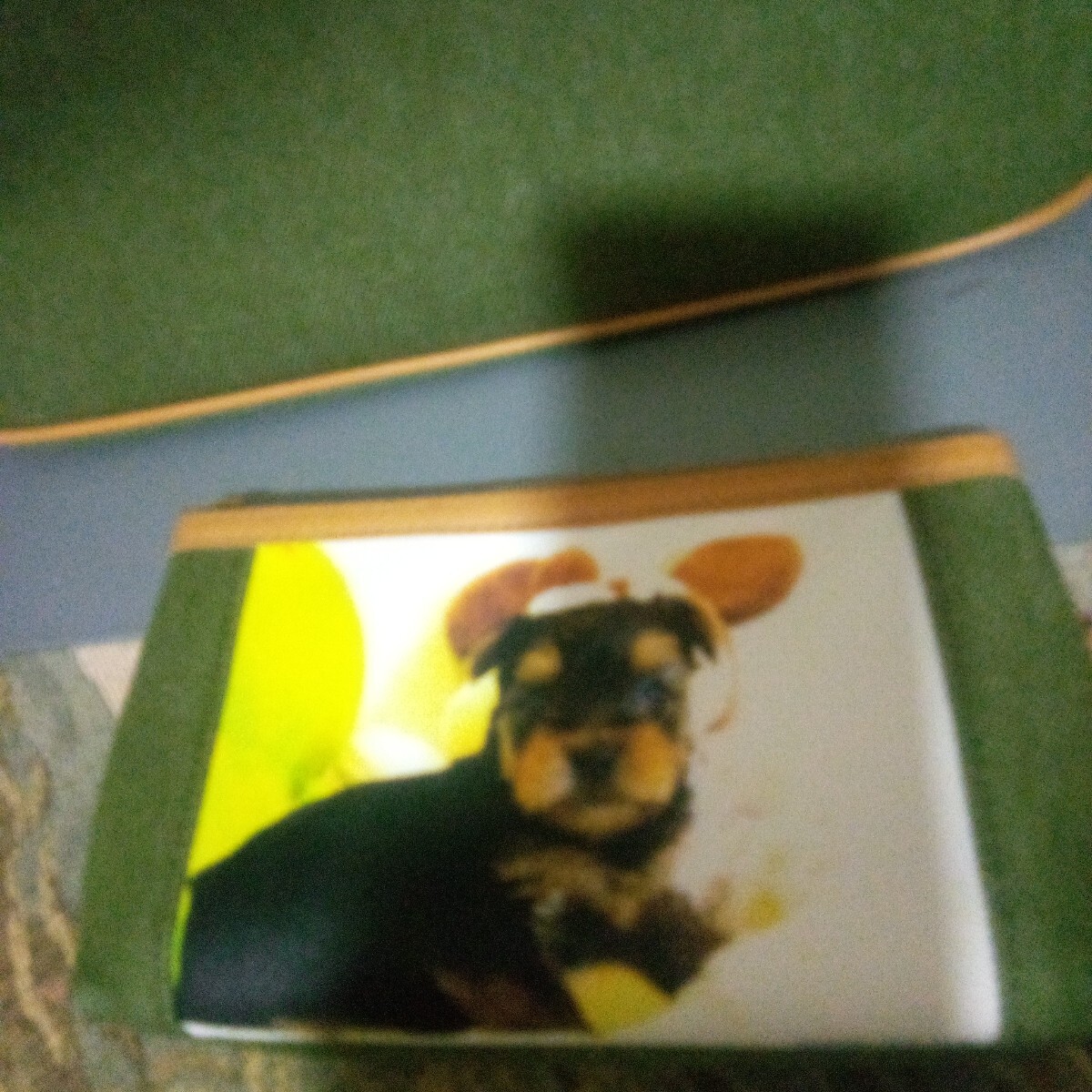 トートバック　ヨークシャーテリア _画像5