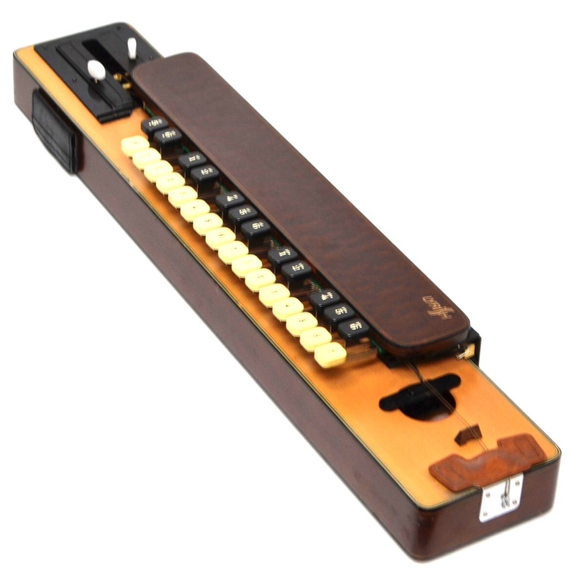 ▽Bi1078 大正琴 ライリッシュ LSS75 日本製 弦楽器 保管品