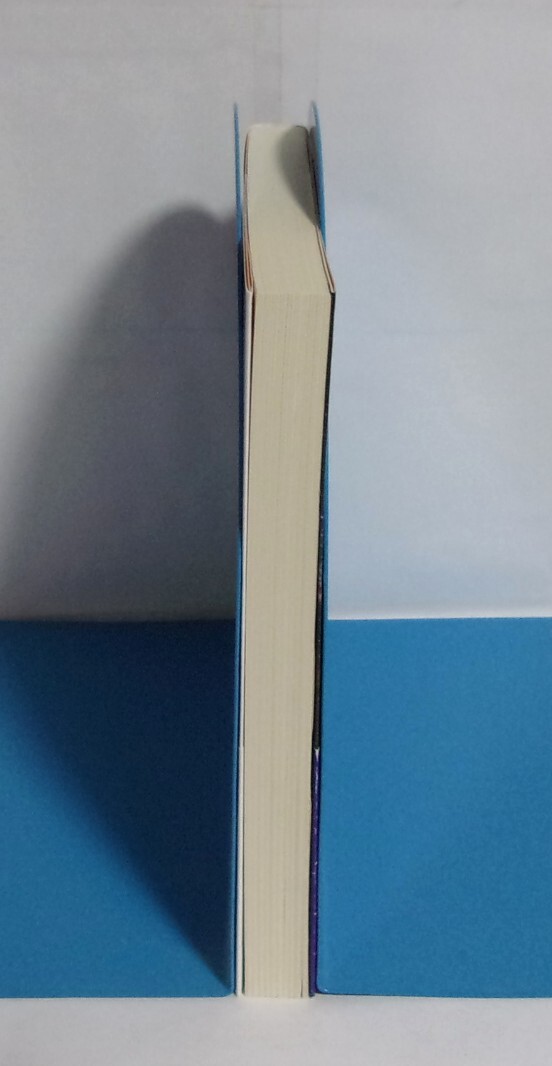 【文庫】　ホロニック：ガール　高島雄哉/創元SF文庫　2024/07初版　「ゼーガペインSTA」公式スピンオフ小説_画像4