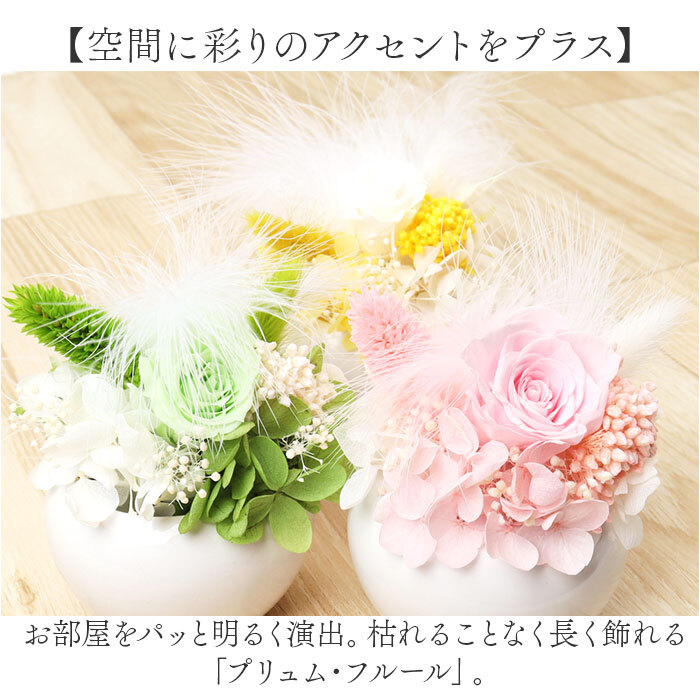 * лаванда * Plume *f правило Blizzard цветок аранжировка цветов цветок подарок . цветок цветок симпатичный модный 