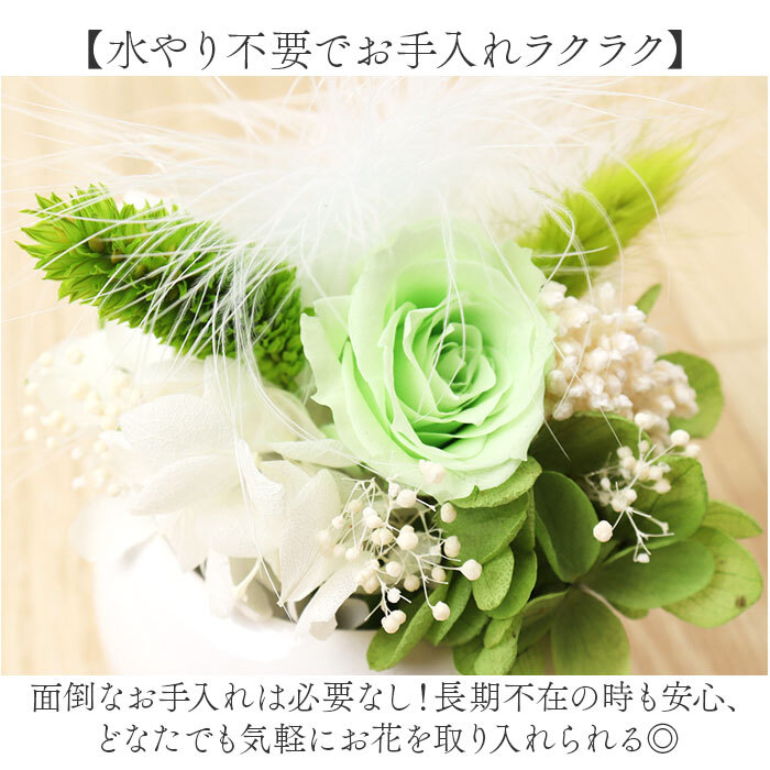 * лаванда * Plume *f правило Blizzard цветок аранжировка цветов цветок подарок . цветок цветок симпатичный модный 