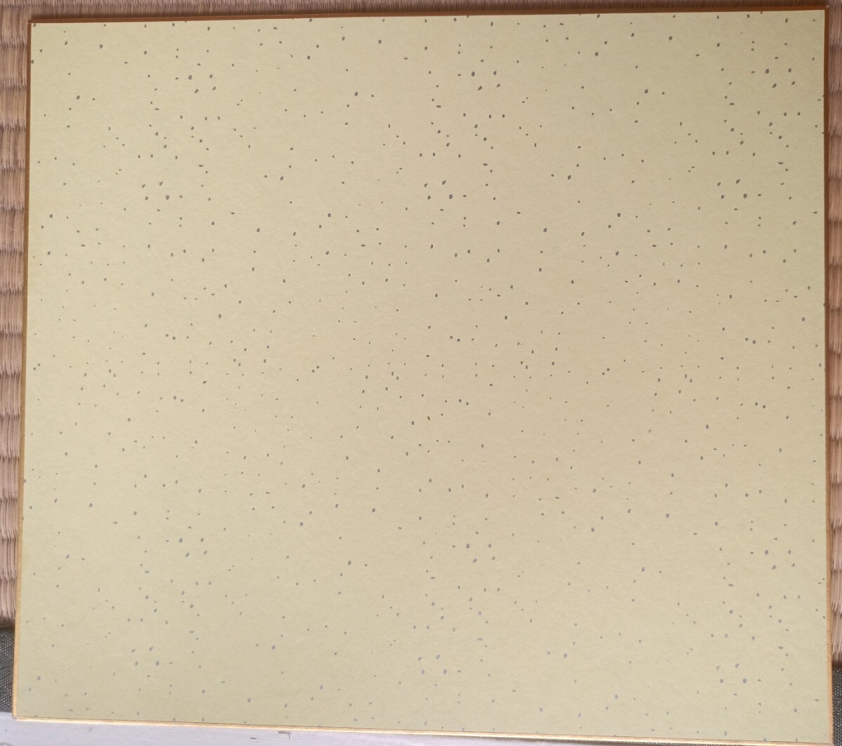 高太一投手【広島東洋カープ】 直筆サイン入り色紙_画像3