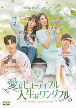 愛はビューティフル、人生はワンダフル 1(第1話、第2話) レンタル落ち 中古 DVD 韓国ドラマ_画像1