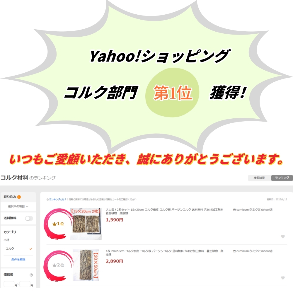 大人気!2枚セット 15×20cm コルク樹皮 コルク板 バージンコルク 送料無料 穴あけ加工無料 着生植物 爬虫類_画像2