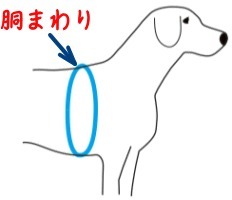 ティクルドピンク柄?ローマンハーネス?小?胴回り23-35cm?13mm幅 LUPINEルパイン アメリカ制 軽量丈夫 小型犬 Tickled Pink