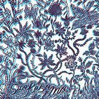 試聴あり★同梱可★Suarasama - Fajar Di Atas Awan [2LP]インドネシア、スマトラ島のオーガニック・フォーク名盤！！