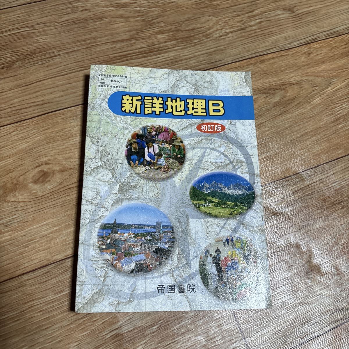 単行本 (実用) 新詳地理B （学校）_画像1