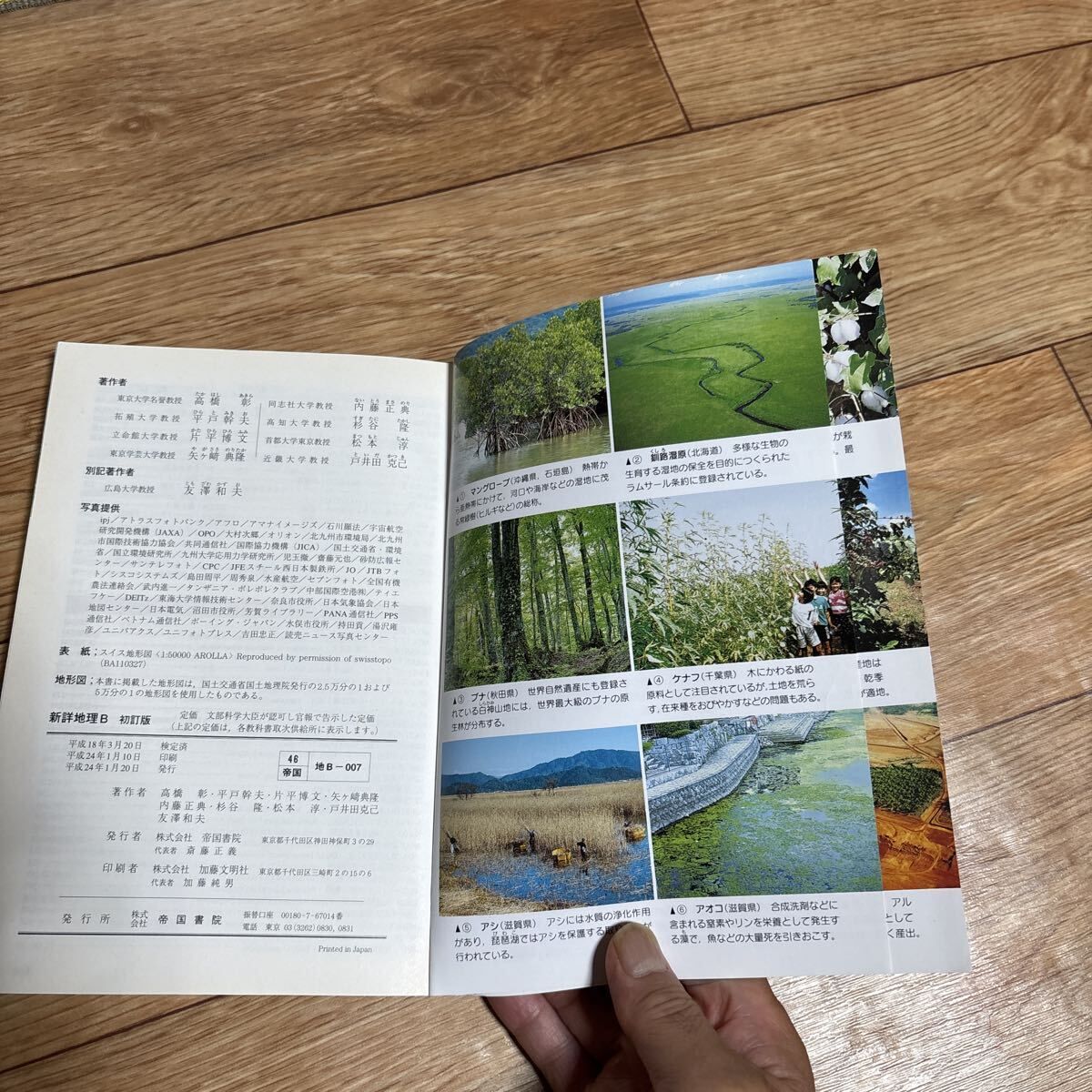 単行本 (実用) 新詳地理B （学校）_画像4