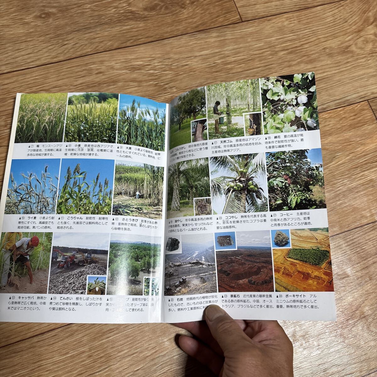 単行本 (実用) 新詳地理B （学校）_画像5