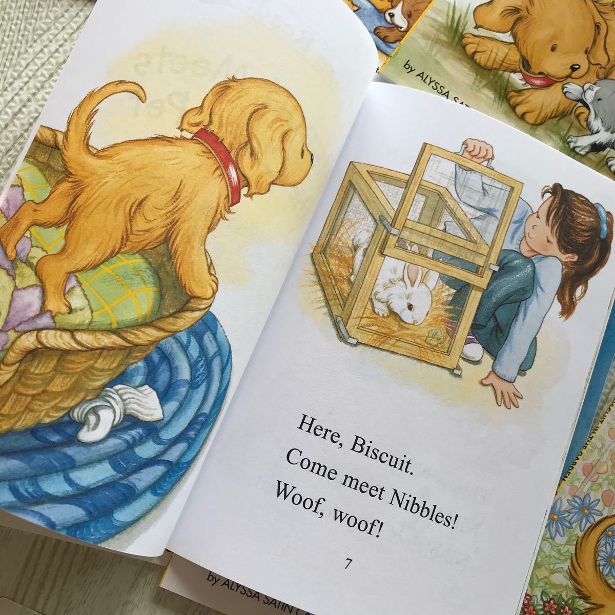 Biscuit シリーズ24冊 My First I Can Read ビスケット 新品 多読 英語 ...