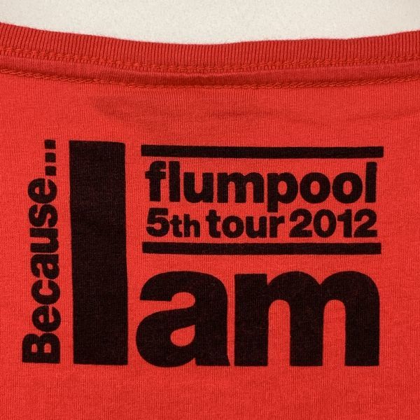 【バンドT】flumpool Tシャツ 5th tour 2012 Because... I am レッド Lサイズ フランプール_画像5