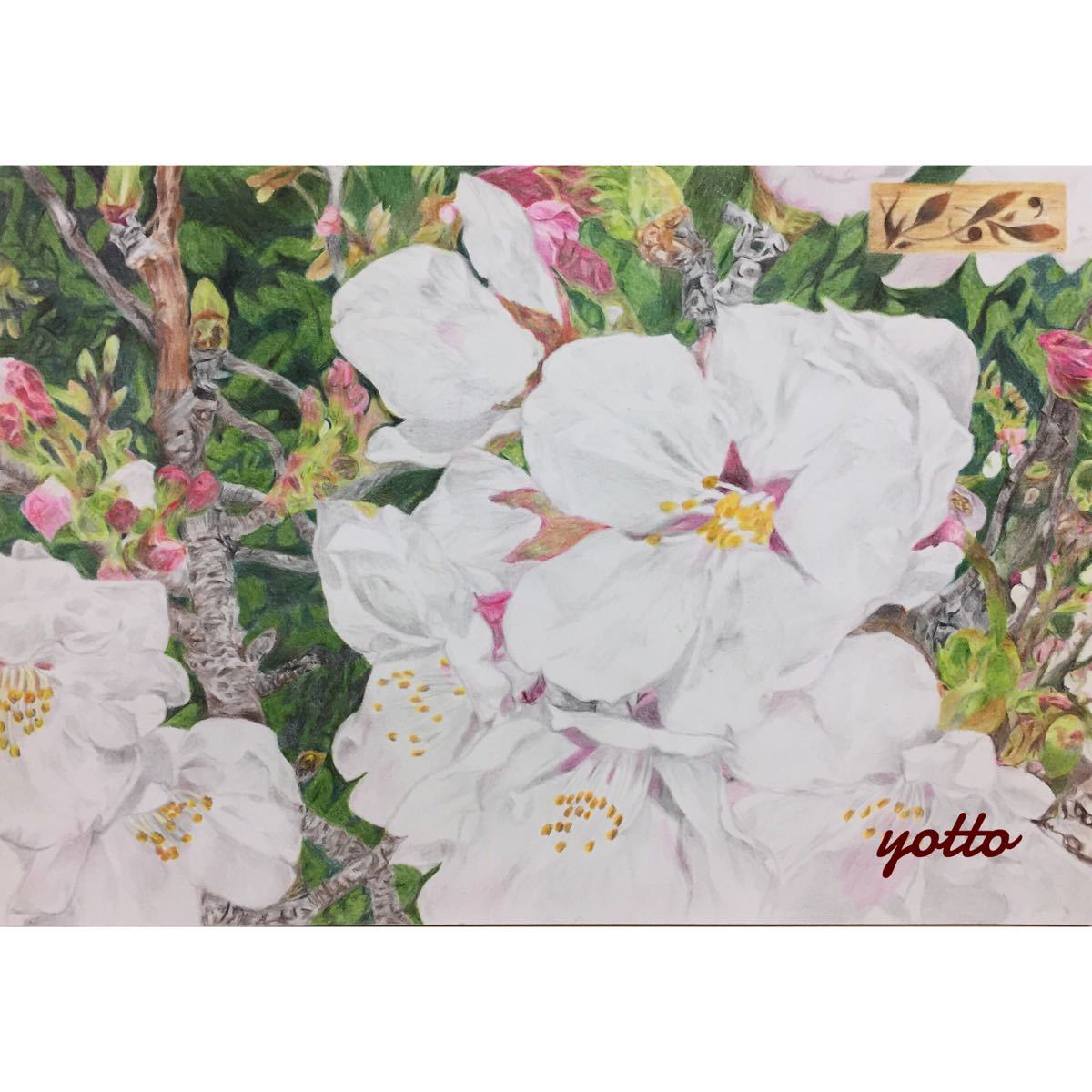 色鉛筆画「 いつか、また… 」A4・額付き◇◇手描き◇原画◇桜・花